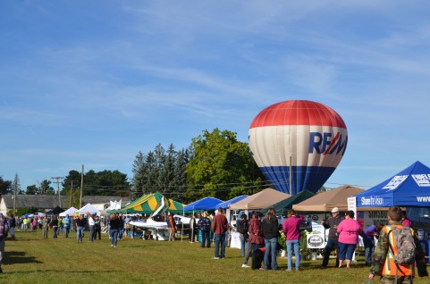 フリー素材より